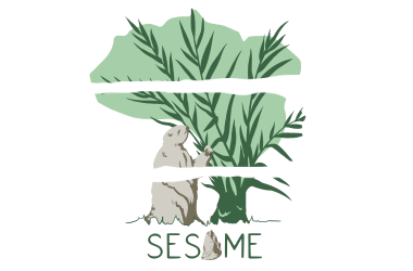 SESAME