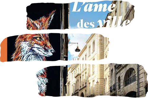 Fouille à La Peyrouse La ville 