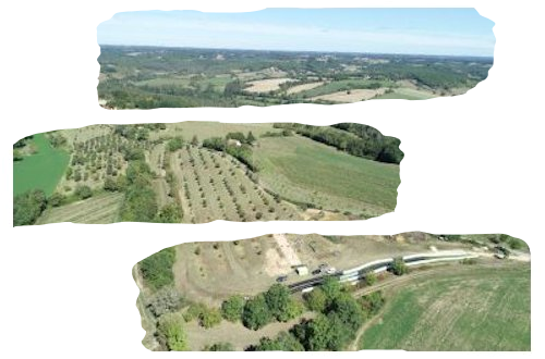 Découverte du premier sanctuaire celtique en Aquitaine