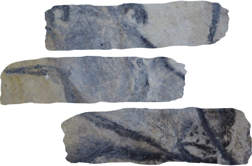 Beneath the Surface : Ancient Human Agency in the Subterranean World