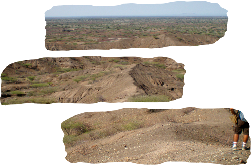 Séminaire sur les chronologies africaines