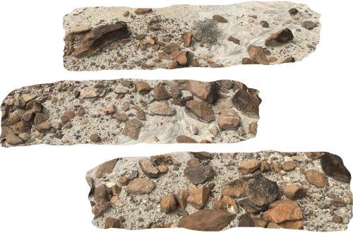 L’adaptation des hominines au climat aride  dans le Rift est-africain au Plio-Quaternaire :  Mythe ou réalité ?