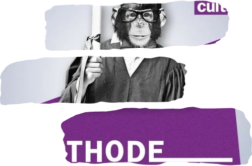  Amériques : l’origine du Nouveau Monde