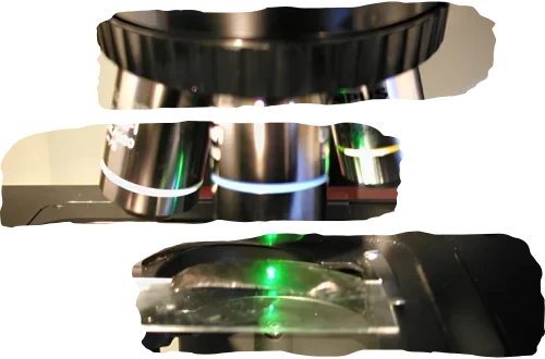 Portrait de chercheur&nbsp;: Eneko Hiriart, chargé de recherche au CNRS