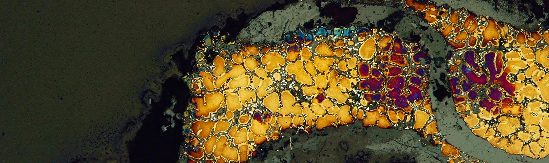 Observation au microscope d'une section métallographique d'un alliage cuivreux.